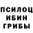 Галлюциногенные грибы GOLDEN TEACHER GobIiN cOrE