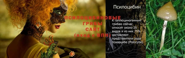 таблы Медногорск