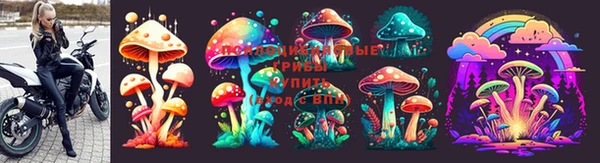 не бодяженный Магас