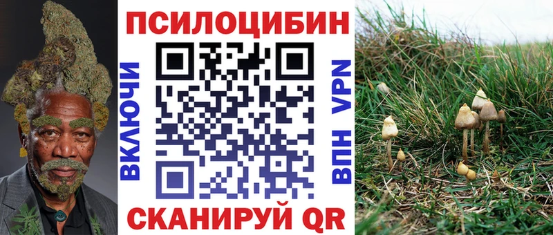 хочу   Мурино  Галлюциногенные грибы мухоморы 